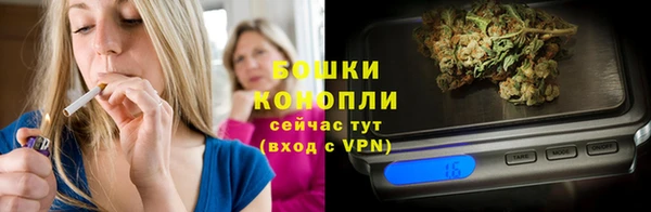 шишки Арсеньев