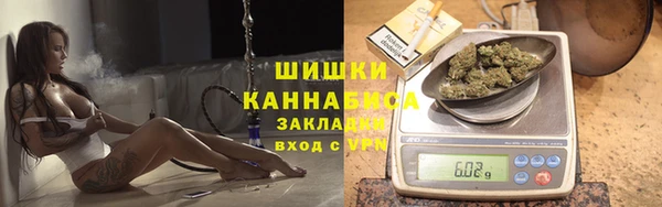 гидра Протвино