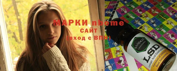 шишки Арсеньев