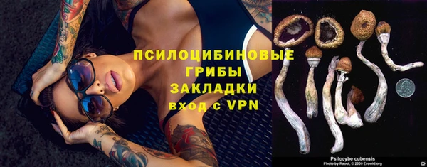 apvp Аркадак