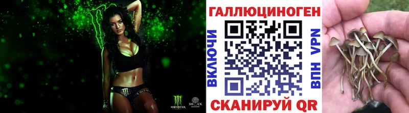 где можно купить   Лахденпохья  Псилоцибиновые грибы GOLDEN TEACHER 